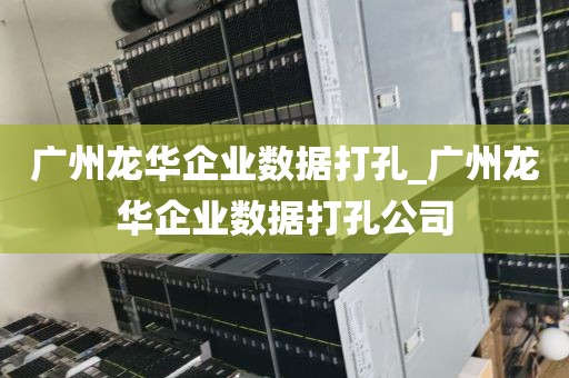 广州龙华企业数据打孔_广州龙华企业数据打孔公司